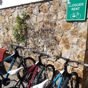 Rent a bike