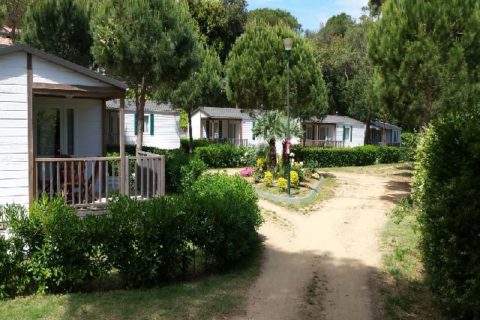Mobil home Forest Cala Gogo