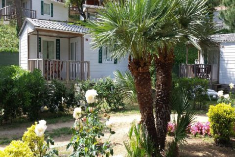 Mobil home Forest Cala Gogo
