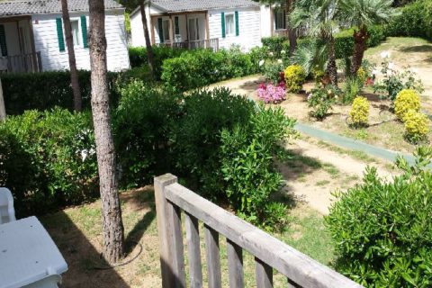 Mobil home Forest Cala Gogo